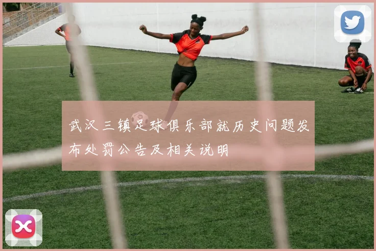 武汉三镇足球俱乐部就历史问题发布处罚公告及相关说明