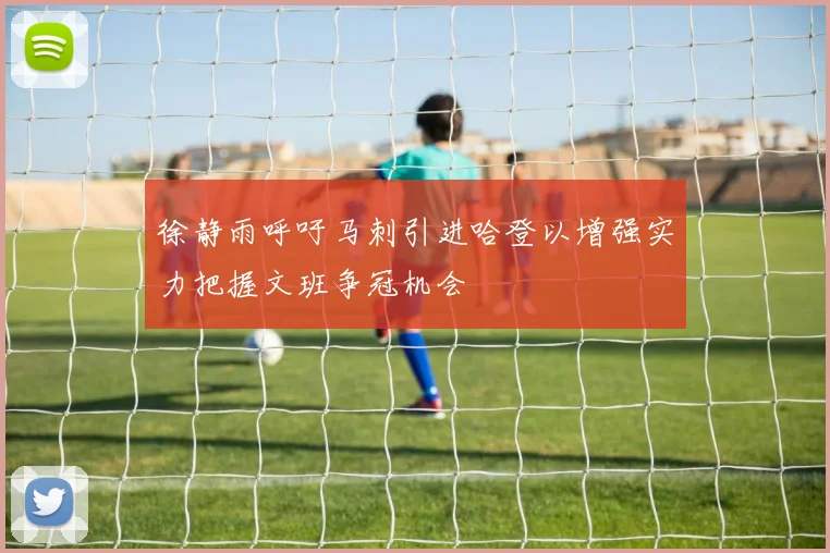 徐静雨呼吁马刺引进哈登以增强实力把握文班争冠机会