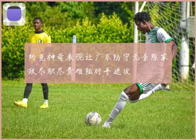 约克神奇表现让广东防守无奈陈家政尽职尽责难阻对手进攻