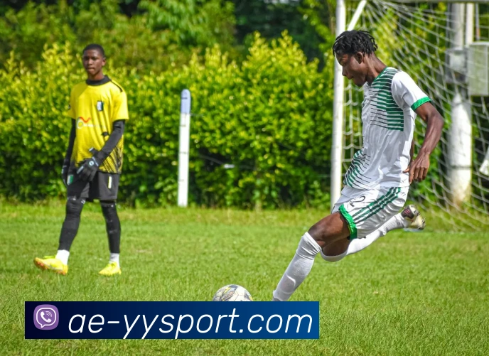 易游体育发展历程